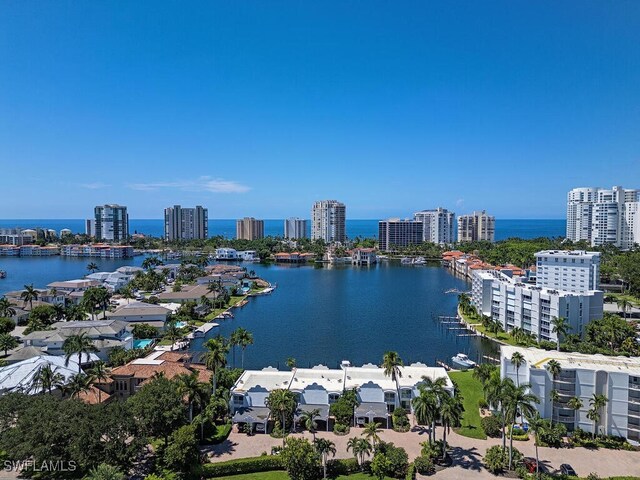 aerial view with a water view