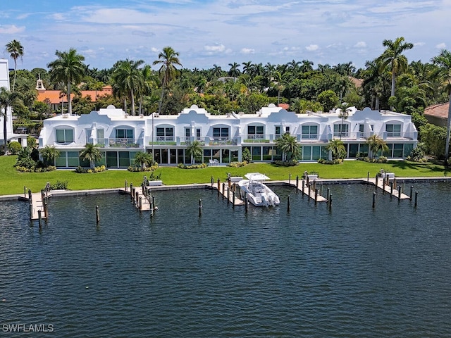 water view featuring a boat dock