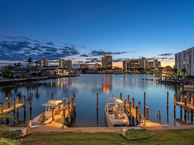 dock area with a water view