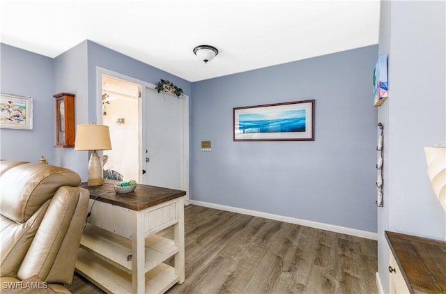 interior space featuring hardwood / wood-style floors