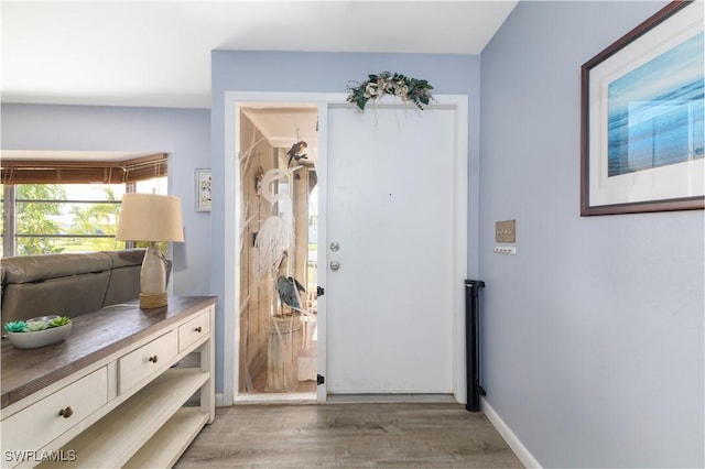 doorway to outside featuring hardwood / wood-style flooring