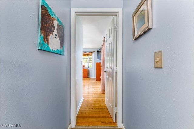 hallway featuring hardwood / wood-style floors