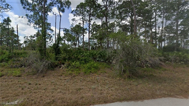 Listing photo 3 for 1042 Hobart St, Lehigh Acres FL 33974