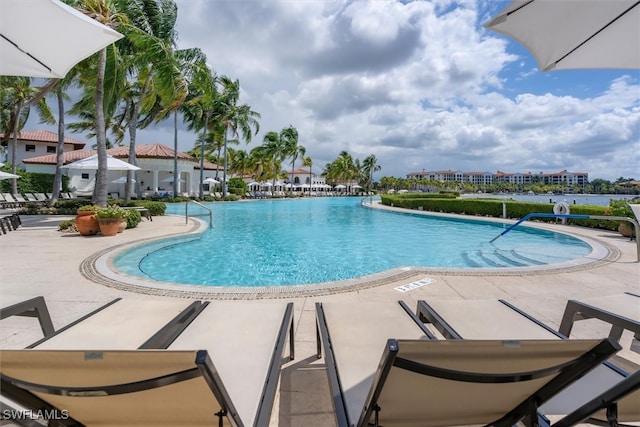 view of pool featuring a patio area