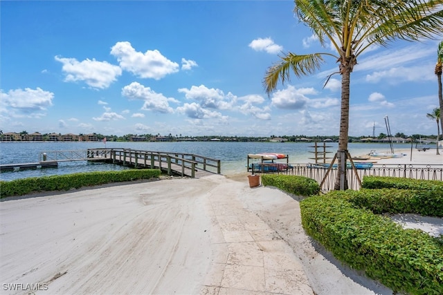 dock area with a water view