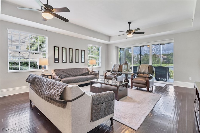 living room featuring ceiling fan, a raised ceiling, and dark hardwood / wood-style floors