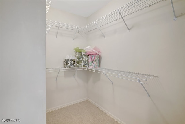 spacious closet featuring carpet flooring