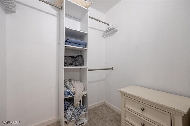 spacious closet featuring light carpet