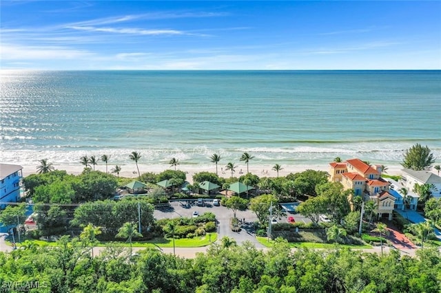 bird's eye view featuring a water view and a beach view