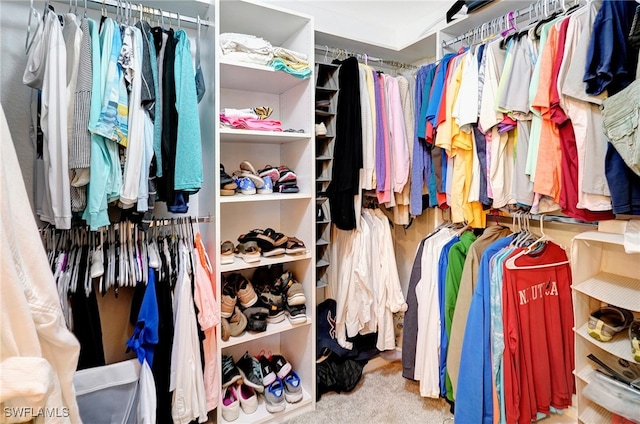 walk in closet with light colored carpet