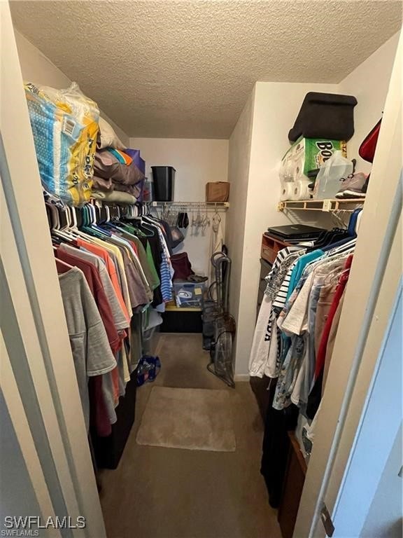 walk in closet featuring carpet