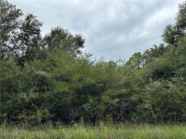 1307 Leroy Ave, Lehigh Acres FL, 33972 land for sale