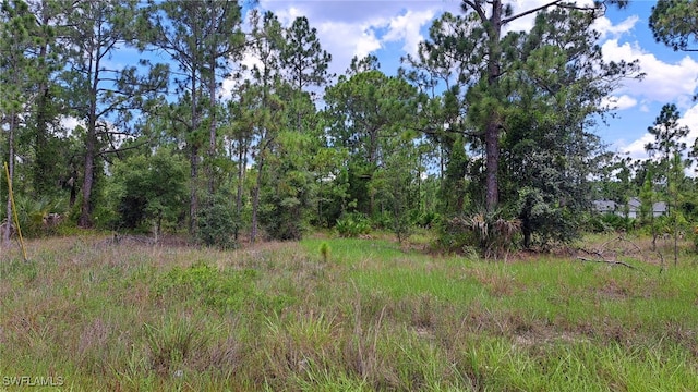 1842 Marlboro Ln, Lehigh Acres FL, 33972 land for sale