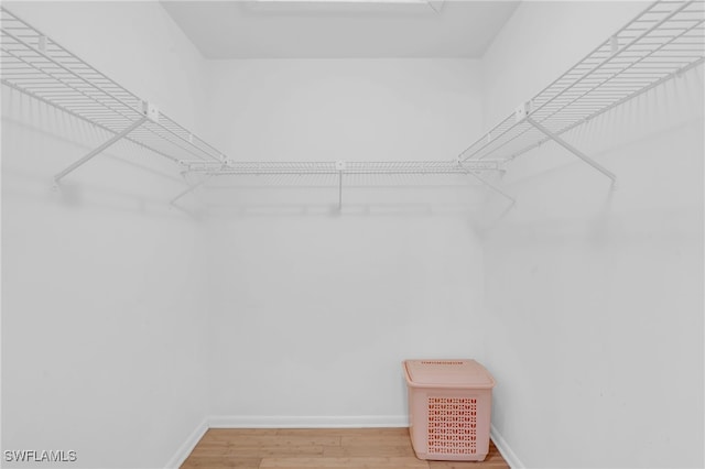 spacious closet featuring hardwood / wood-style floors