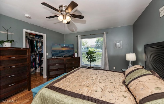 bedroom featuring wood-type flooring, a spacious closet, a closet, and ceiling fan