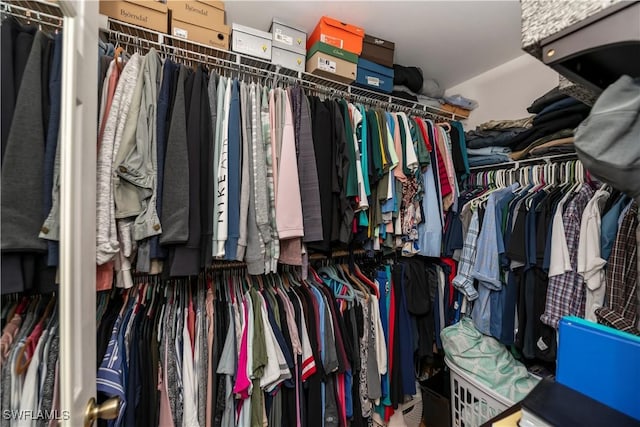 view of walk in closet