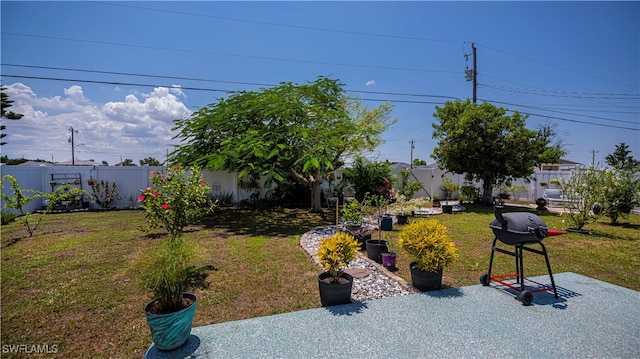 view of yard with a patio