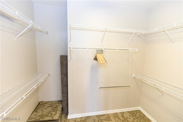 view of spacious closet