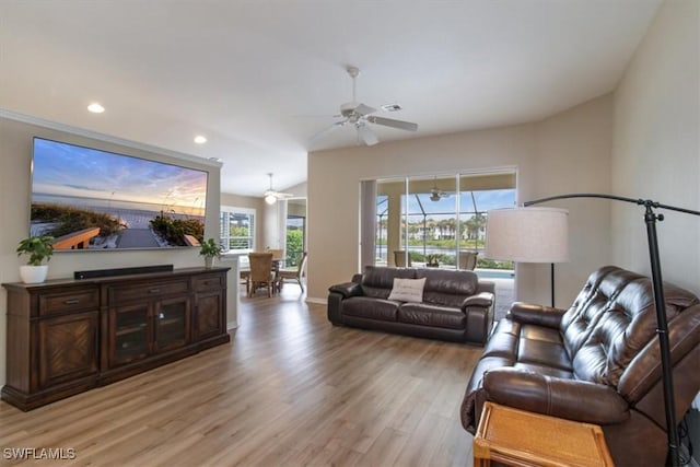 living room featuring ceiling fan and light wood-type flooring