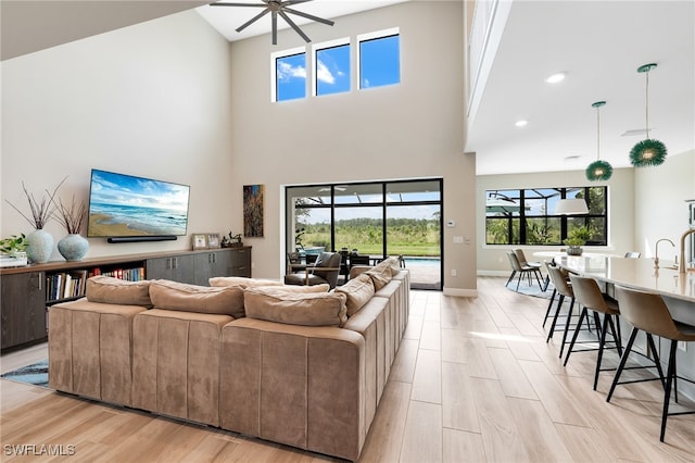 living room featuring light hardwood / wood-style floors and a towering ceiling