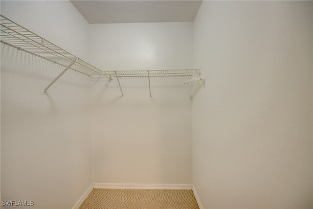 spacious closet with carpet flooring