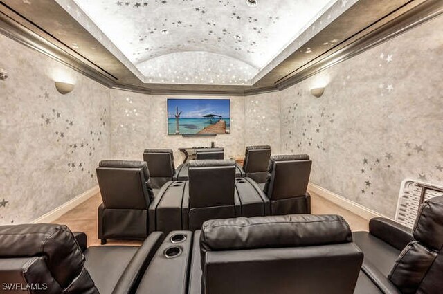 home theater with a tray ceiling