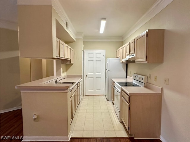 kitchen with electric stove, ornamental molding, and light hardwood / wood-style flooring