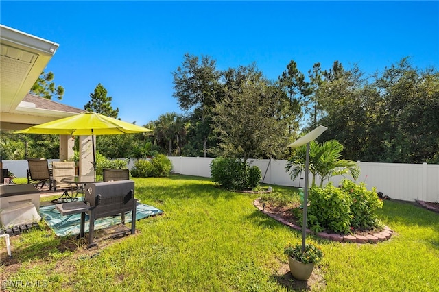 view of yard featuring a patio