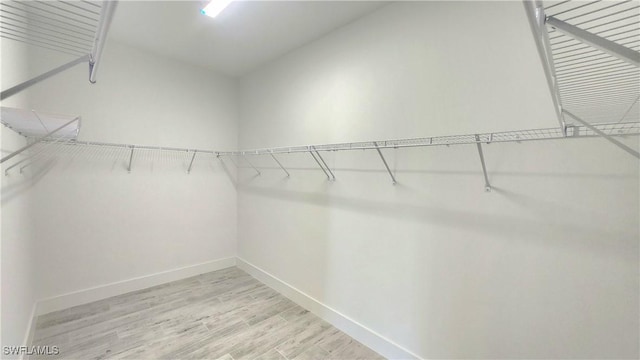 walk in closet featuring hardwood / wood-style floors