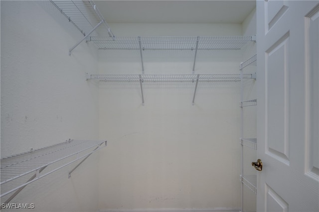 view of walk in closet