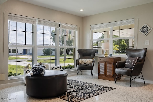 living area featuring a wealth of natural light