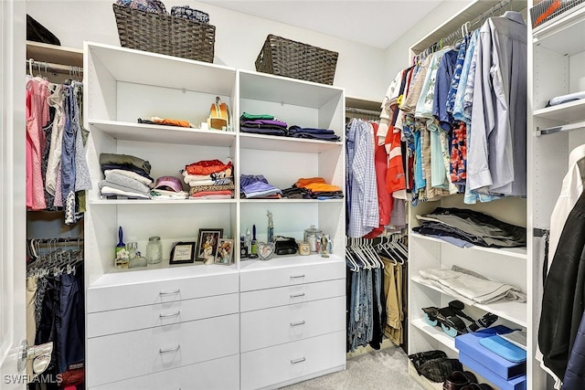 spacious closet with light colored carpet