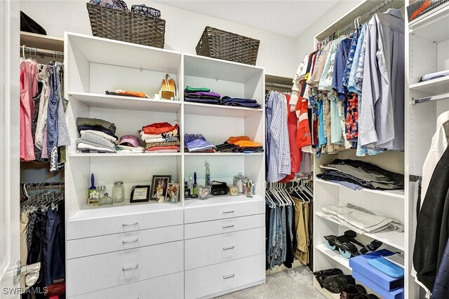 spacious closet featuring carpet flooring