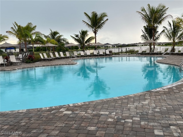 view of swimming pool featuring a patio