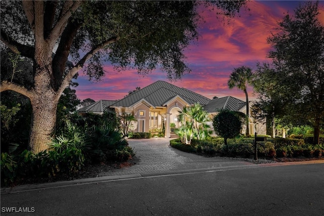 view of front of property featuring decorative driveway, metal roof, and a standing seam roof