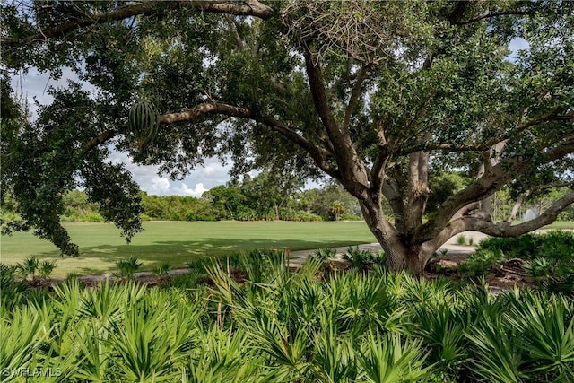 view of property's community with a yard