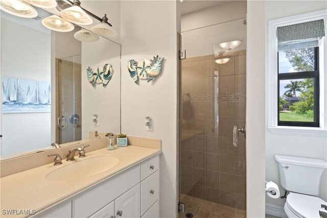 bathroom with a shower with shower door, toilet, a healthy amount of sunlight, and vanity