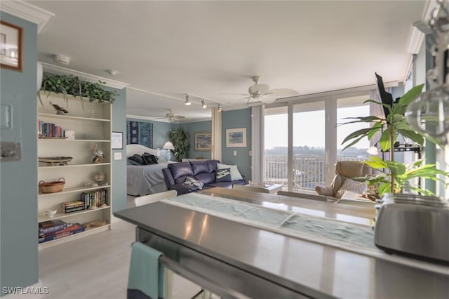 living room featuring light hardwood / wood-style flooring and ceiling fan