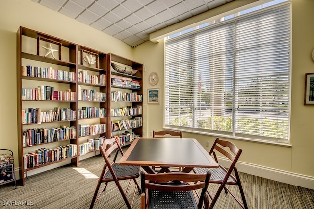 view of carpeted home office