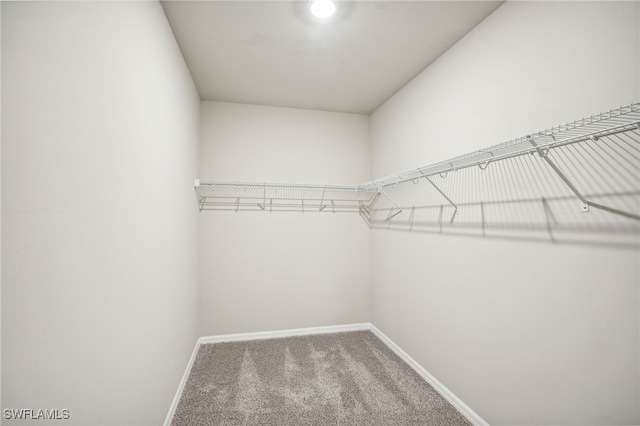 walk in closet with carpet