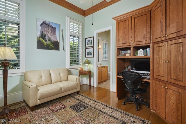 office space featuring ornamental molding and hardwood / wood-style flooring