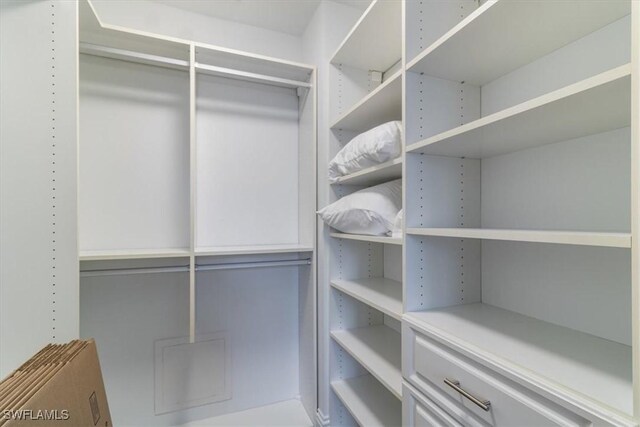 view of spacious closet