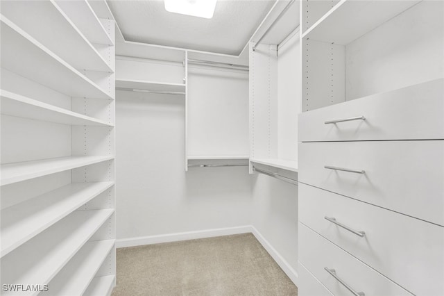 spacious closet featuring light carpet