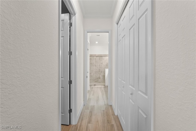 hall featuring ornamental molding and light wood-type flooring