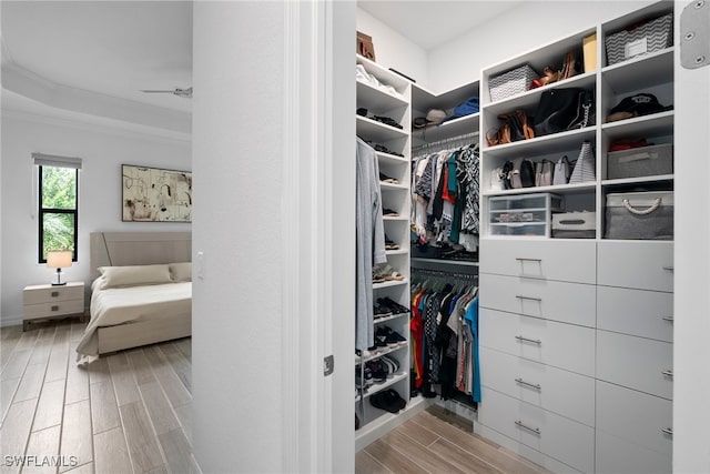 spacious closet featuring light hardwood / wood-style floors