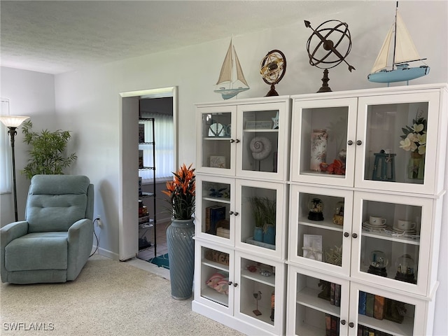 view of sitting room