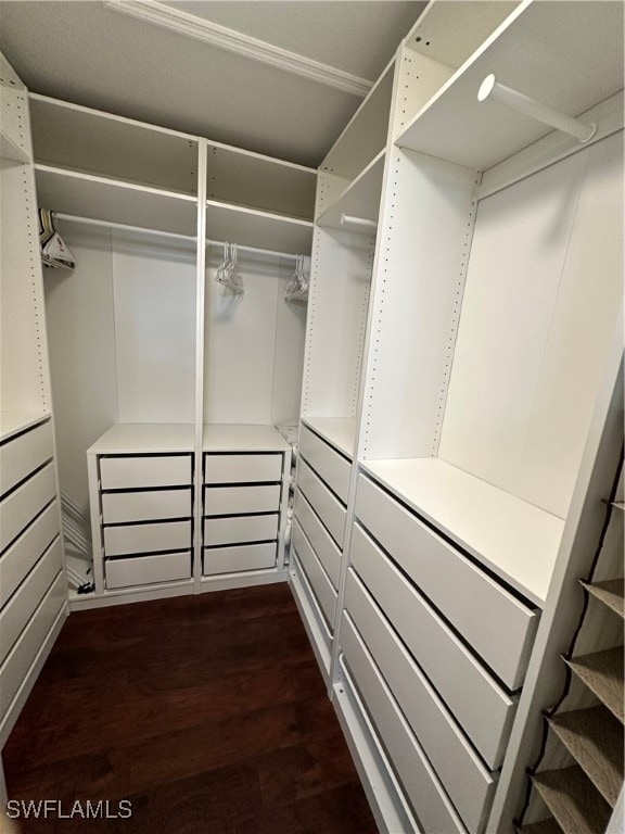 walk in closet with dark wood-type flooring