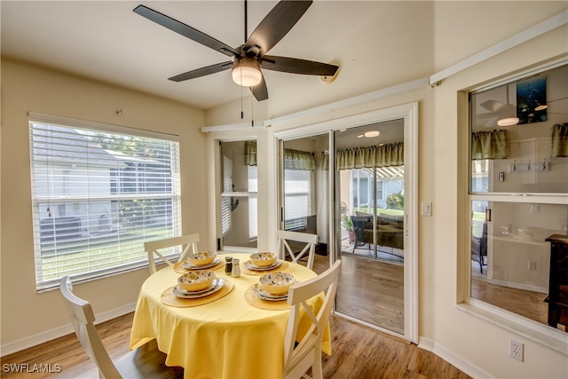 dining room featuring ceiling fan, plenty of natural light, and light hardwood / wood-style flooring