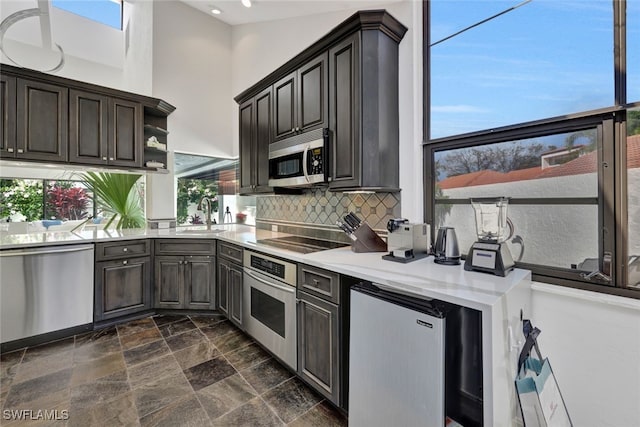 kitchen featuring backsplash, stainless steel appliances, and sink