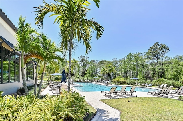 view of pool featuring a patio area